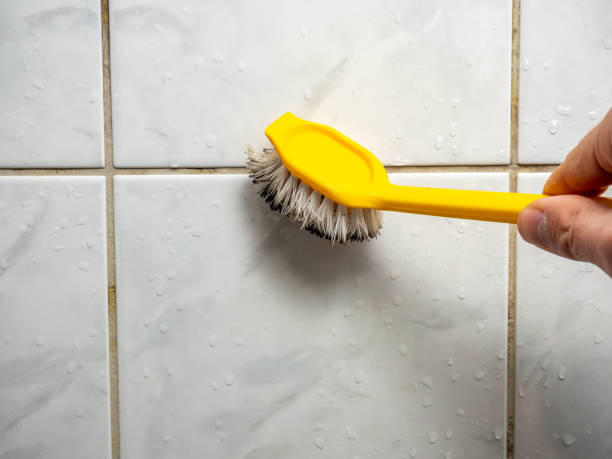 Best Toxic Mold Removal  in Sorrento, LA