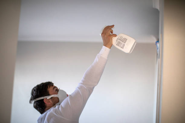 Best Crawl Space Mold Removal  in Sorrento, LA
